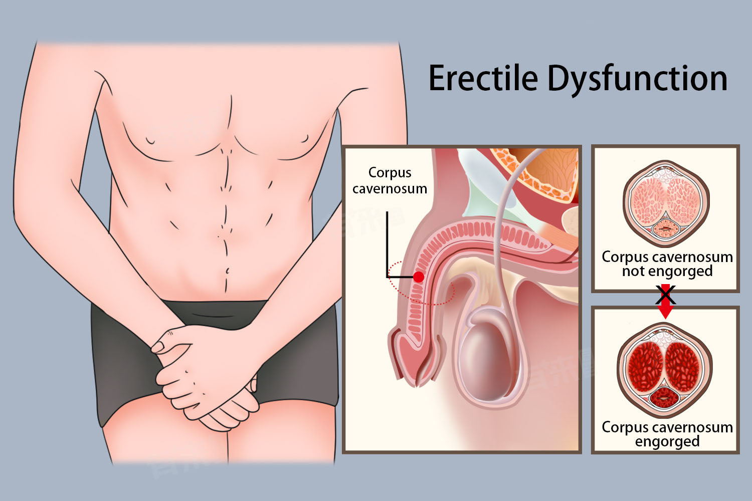 More Than Just Pleasure: How Male Masturbators Can Help with Premature Ejaculation and Erectile Function.